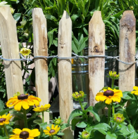 Staketenzaun Kastanie 100 x 500 cm ( Lattenabstand 4-5 cm ) - Kastanienzaun Natur - Staketen Roll Zaun aus Edelkastanie